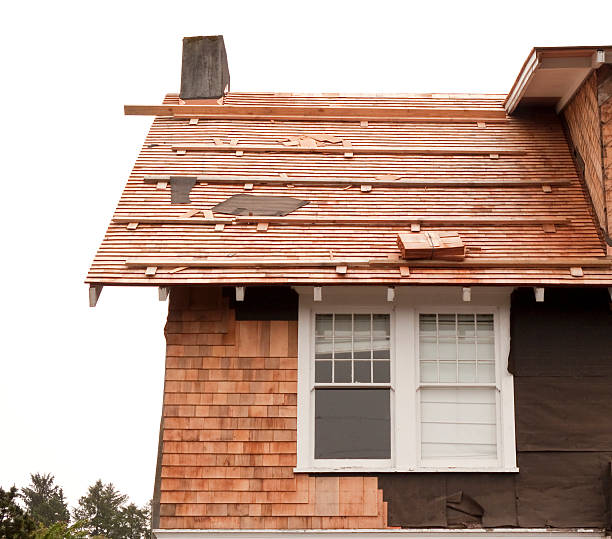 Affordable Siding Repair and Maintenance Services in Munising, MI